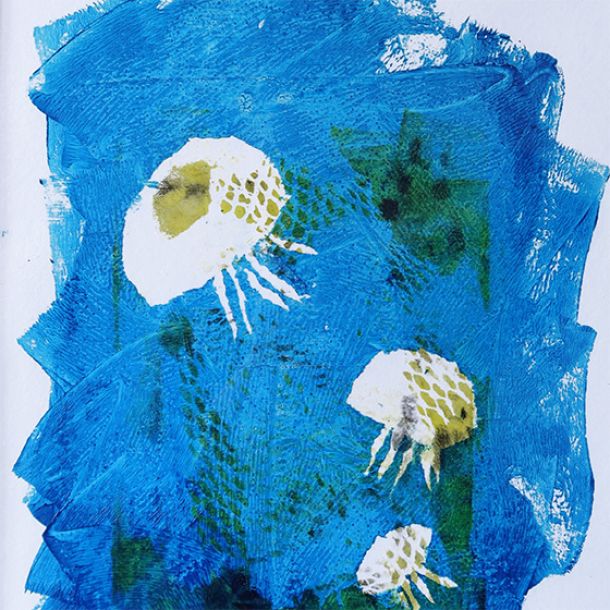 Bild zur Übersicht des Kapitels "Under Water – Jellyfishes"